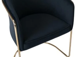 Lot De 2 Chaises Avec Accoudoirs En Velours Et Métal - Noir Et Doré - JOSETHE De Pascal MORABITO -Mobilia Boutique chaise 10856017