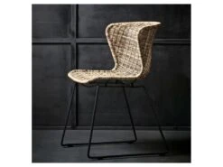 Wings - Lot De 2 Chaises Indoor/outdoor En Résine Tressée - Couleur - Naturel -Mobilia Boutique chaise 13389545