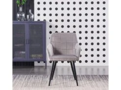 Ensemble De 2 Chaises De Salle à Manger Camden - Tapissées De Velours Avec Pieds En Métal - Gris Clair -Mobilia Boutique chaise 14148163