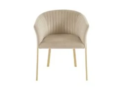 Lot De 2 Chaises Avec Accoudoirs En Velours Et Métal Doré - Beige - ZAOVA De Pascal MORABITO -Mobilia Boutique chaise 18483063