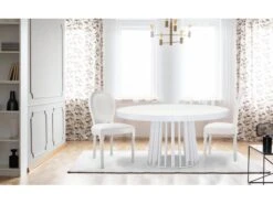 Lot De 2 Chaises Médaillon Louis XVI Simili (P.U) Blanc -Mobilia Boutique chaise 20010243