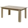 IRIS - Table Rectangulaire Allongeable Imitation Bois -Mobilia Boutique table a manger 10032239