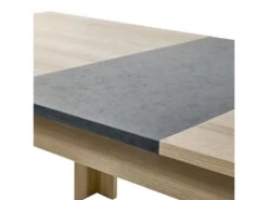 IRIS - Table Rectangulaire Allongeable Imitation Bois -Mobilia Boutique table a manger 10032245
