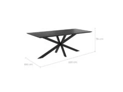 Table Rectangulaire Marvel 8 Personnes En Bois De Teck Recyclé Noir 220 Cm -Mobilia Boutique table a manger 13009363