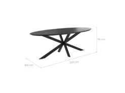 Table Ovale Sparo 8 Personnes En Bois De Teck Recyclé Noir 220 Cm -Mobilia Boutique table a manger 13009479