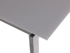 Table à Manger Extensible 4 à 14 Couverts En Verre Trempé Et Métal - Gris - CHELDY -Mobilia Boutique table a manger 14290765