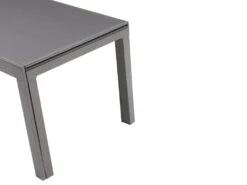 Table à Manger Extensible 4 à 14 Couverts En Verre Trempé Et Métal - Gris - CHELDY -Mobilia Boutique table a manger 14290769