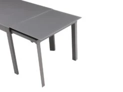 Table à Manger Extensible 4 à 14 Couverts En Verre Trempé Et Métal - Gris - CHELDY -Mobilia Boutique table a manger 14290773