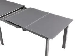 Table à Manger Extensible 4 à 14 Couverts En Verre Trempé Et Métal - Gris - CHELDY -Mobilia Boutique table a manger 14290775