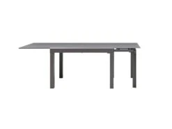 Table à Manger Extensible 4 à 14 Couverts En Verre Trempé Et Métal - Gris - CHELDY -Mobilia Boutique table a manger 14290785