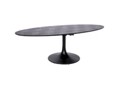 Table à Dîner Blax Ovale 250x120