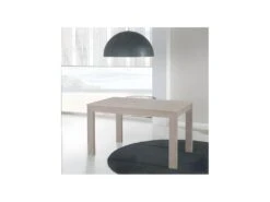 Table De Repas à Allonges Chêne Clair - TOVA